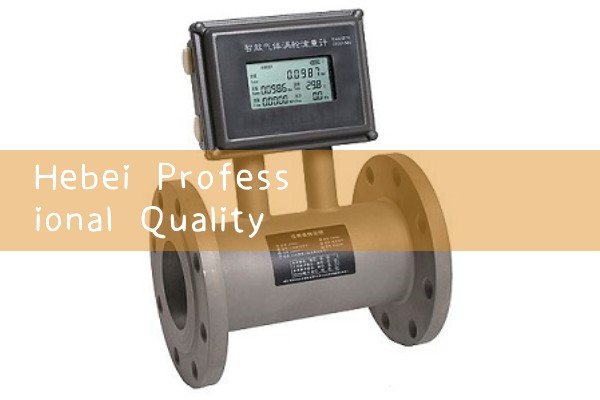 Hebei professional quality flowmeter manufacturer